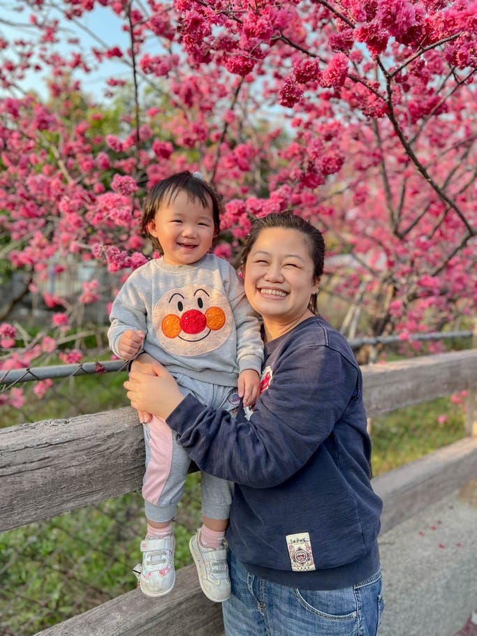 台中后里泰安派出所櫻花林｜全台最美派出所，花況交通