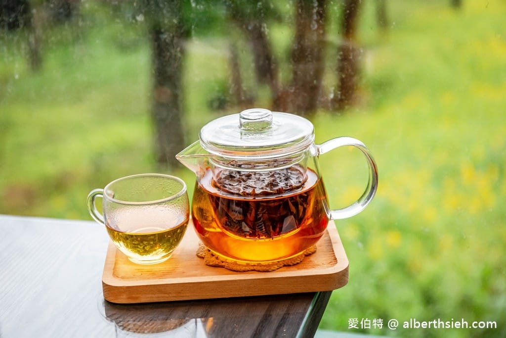 桃園龍潭美人世家咖啡廳｜快炒綠茶麵好吃，賞魯冰花最佳景觀