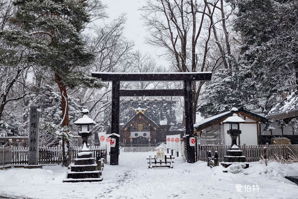 北海道神社推薦｜旭川神社，美之女神守護，求戀愛安產