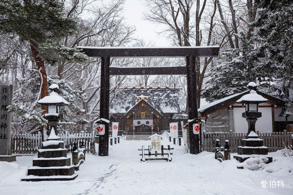 北海道神社推薦｜旭川神社，美之女神守護，求戀愛安產