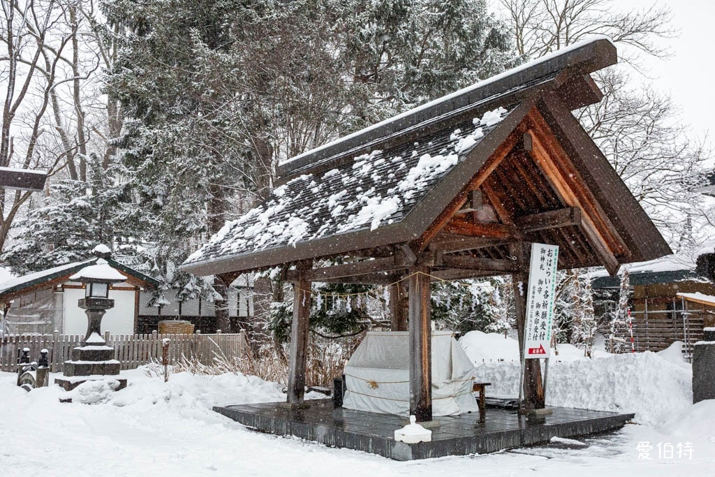 北海道神社推薦｜旭川神社，美之女神守護，求戀愛安產