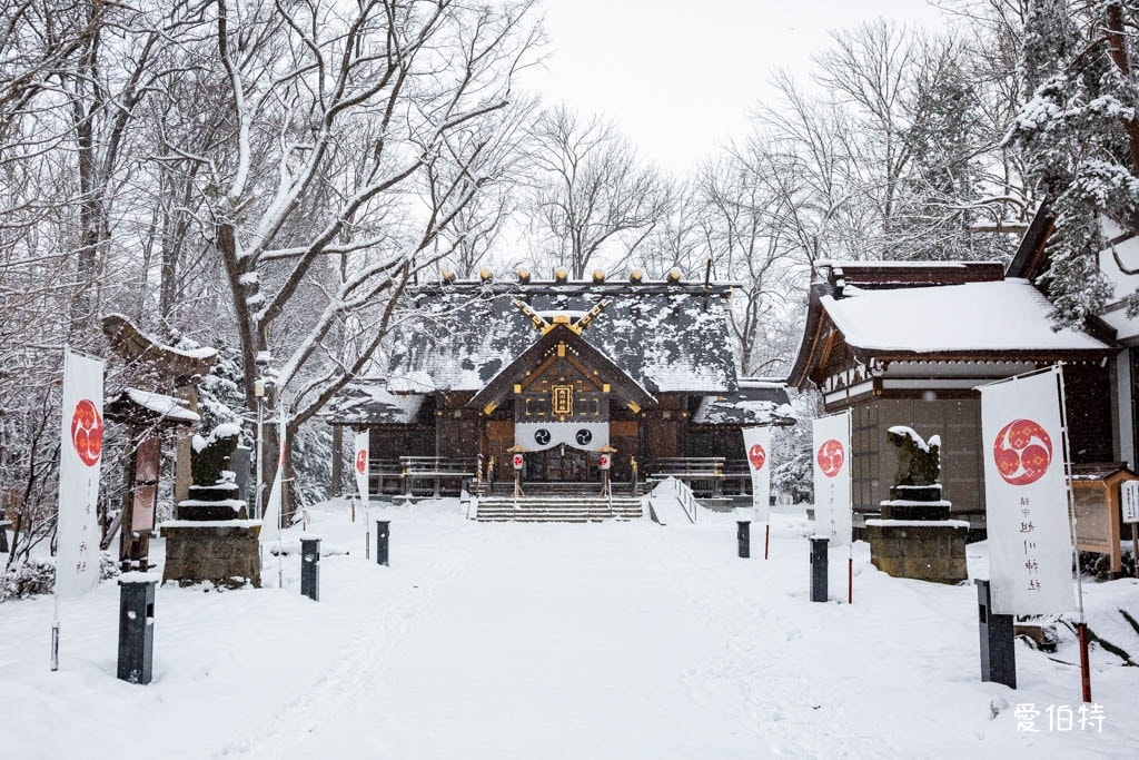 北海道神社推薦｜旭川神社，美之女神守護，求戀愛安產