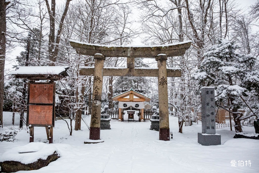 北海道神社推薦｜旭川神社，美之女神守護，求戀愛安產
