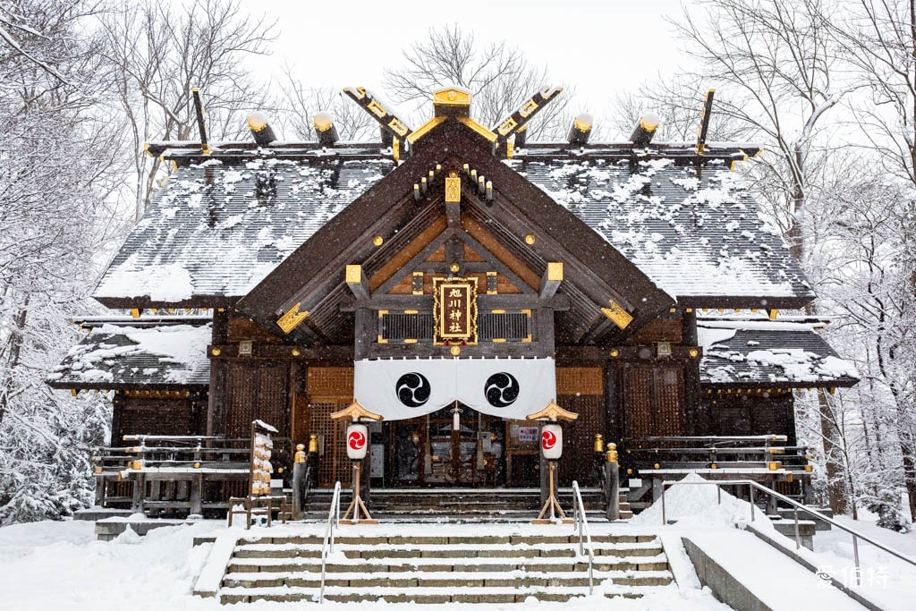 北海道神社推薦｜旭川神社，美之女神守護，求戀愛安產