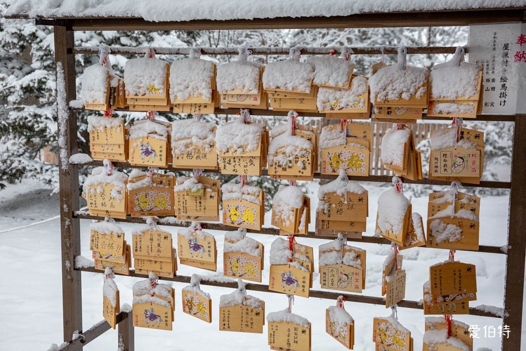 北海道神社推薦｜旭川神社，美之女神守護，求戀愛安產