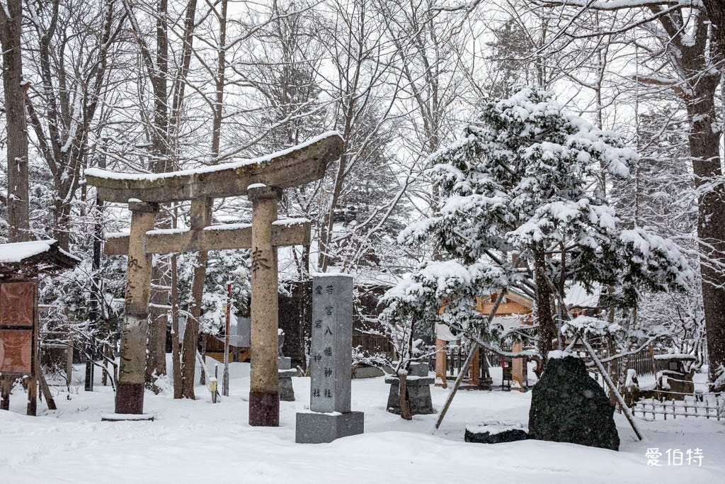 北海道神社推薦｜旭川神社，美之女神守護，求戀愛安產