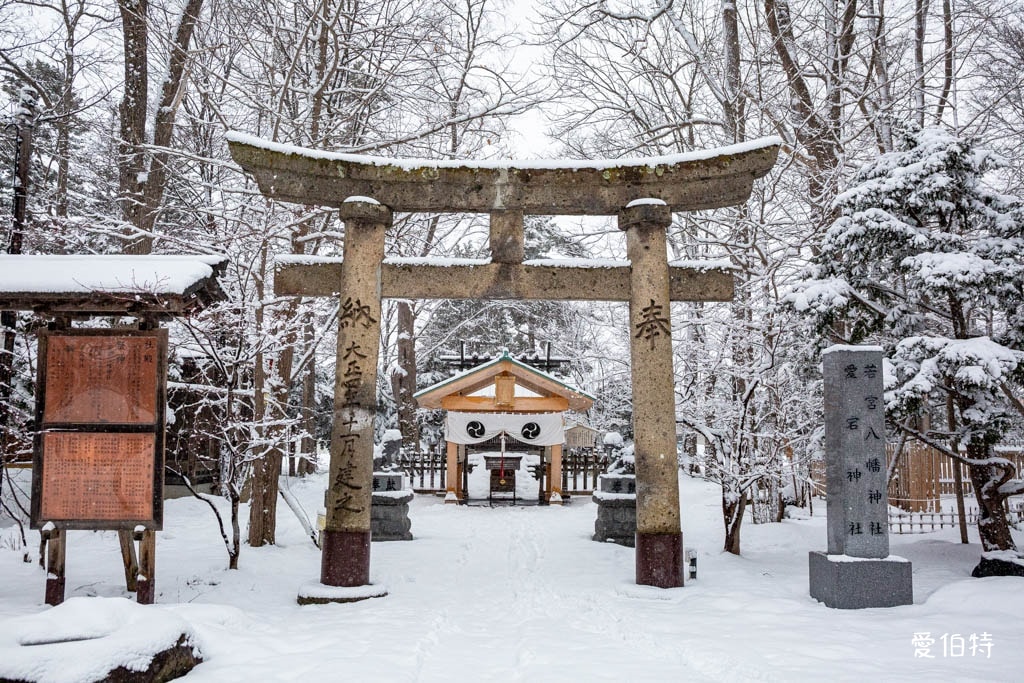 北海道神社推薦｜旭川神社，美之女神守護，求戀愛安產