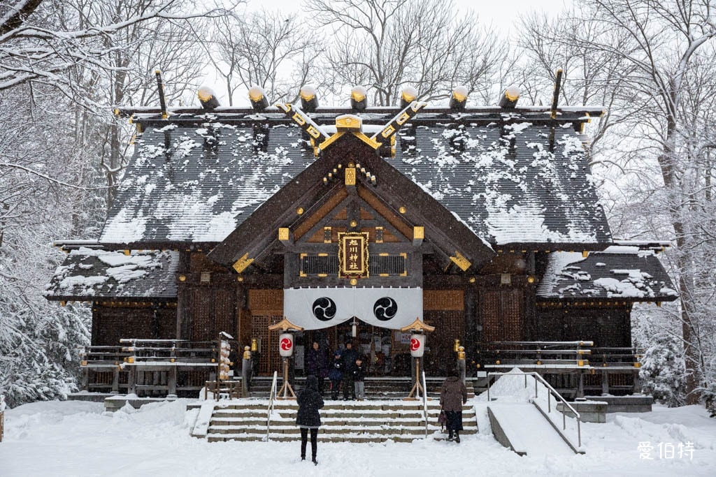 北海道神社推薦｜旭川神社，美之女神守護，求戀愛安產