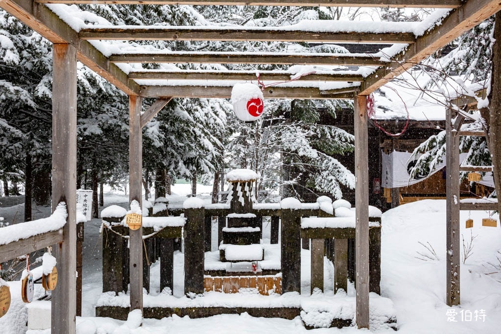 北海道神社推薦｜旭川神社，美之女神守護，求戀愛安產