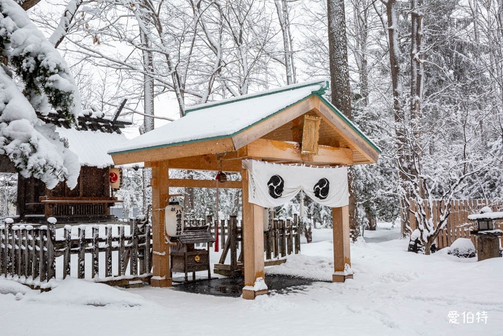 北海道神社推薦｜旭川神社，美之女神守護，求戀愛安產