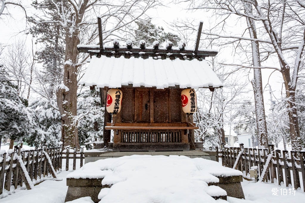 北海道神社推薦｜旭川神社，美之女神守護，求戀愛安產