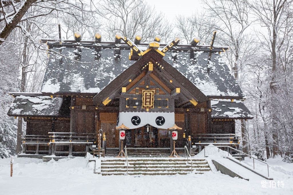 北海道神社推薦｜旭川神社，美之女神守護，求戀愛安產