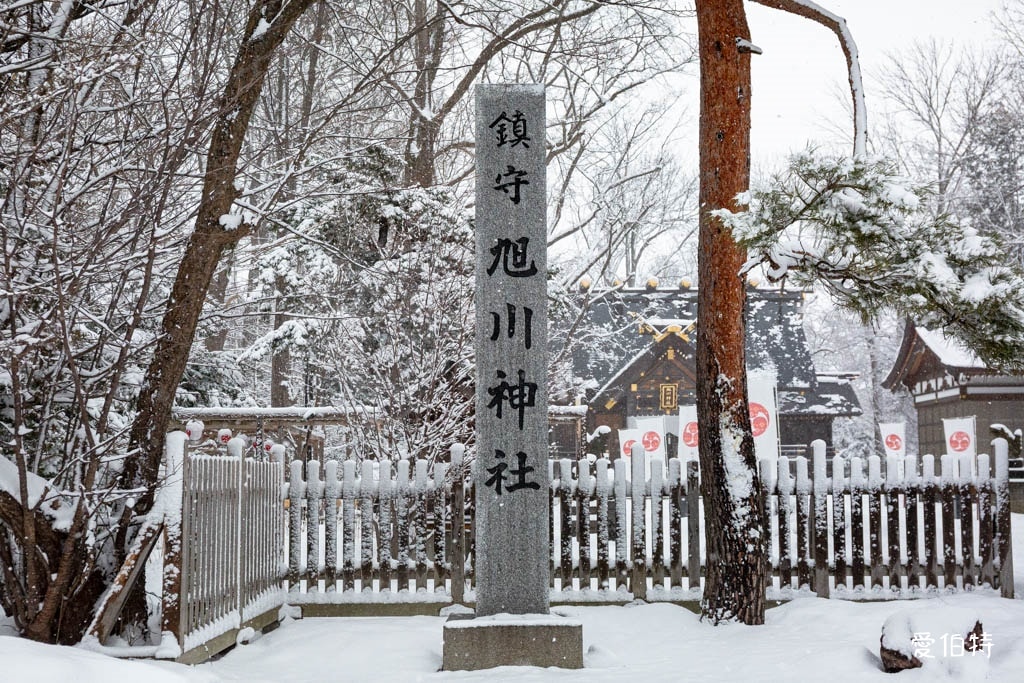北海道神社推薦｜旭川神社，美之女神守護，求戀愛安產