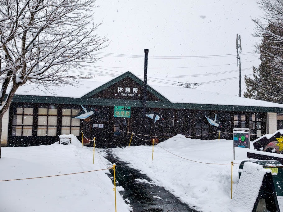 北海道旭山動物園攻略｜交通，企鵝散步，北極熊，海豹，小熊貓