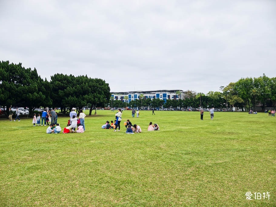2026石管局四月雪流蘇花|桃園龍潭石門大草坪,野餐放風箏 - 第10張圖 2026石管局四月雪流蘇花|桃園龍潭石門大草坪,野餐放風箏