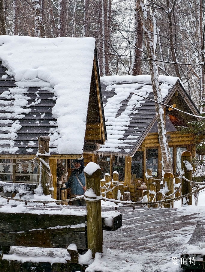 北海道富良野森林精靈露台｜宛如童話的雪地小鎮！點燈時間與一日遊攻略
