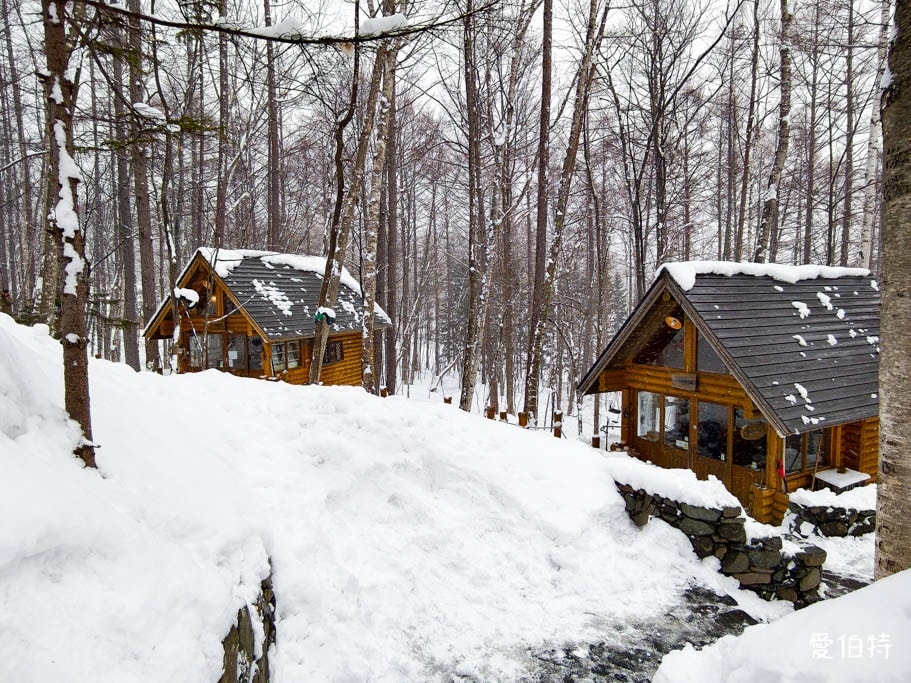 北海道富良野森林精靈露台｜宛如童話的雪地小鎮！點燈時間與一日遊攻略
