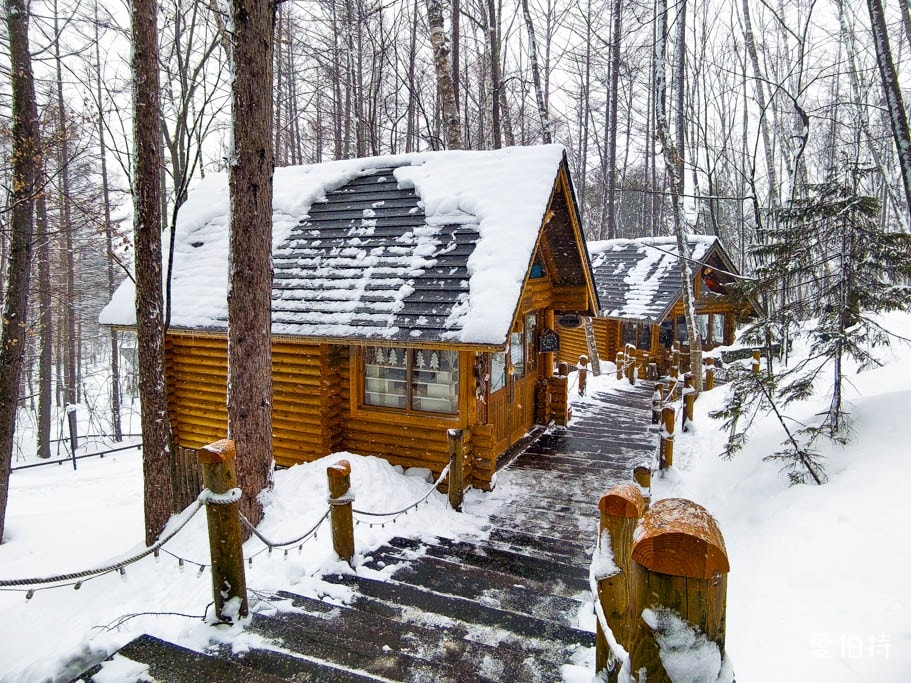 北海道富良野森林精靈露台｜宛如童話的雪地小鎮！點燈時間與一日遊攻略
