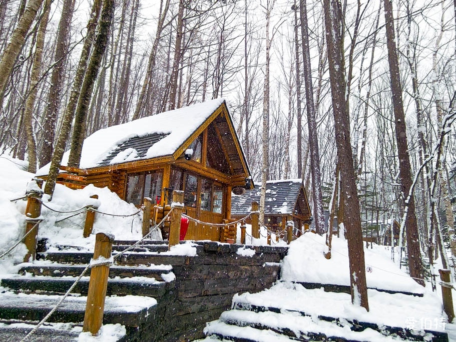 北海道富良野森林精靈露台｜宛如童話的雪地小鎮！點燈時間與一日遊攻略