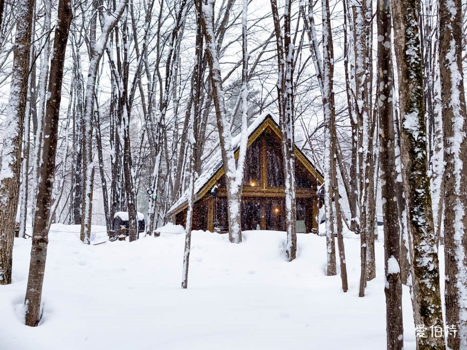 北海道富良野森林精靈露台｜宛如童話的雪地小鎮！點燈時間與一日遊攻略