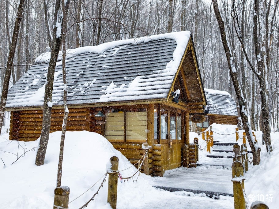 北海道富良野森林精靈露台｜宛如童話的雪地小鎮！點燈時間與一日遊攻略