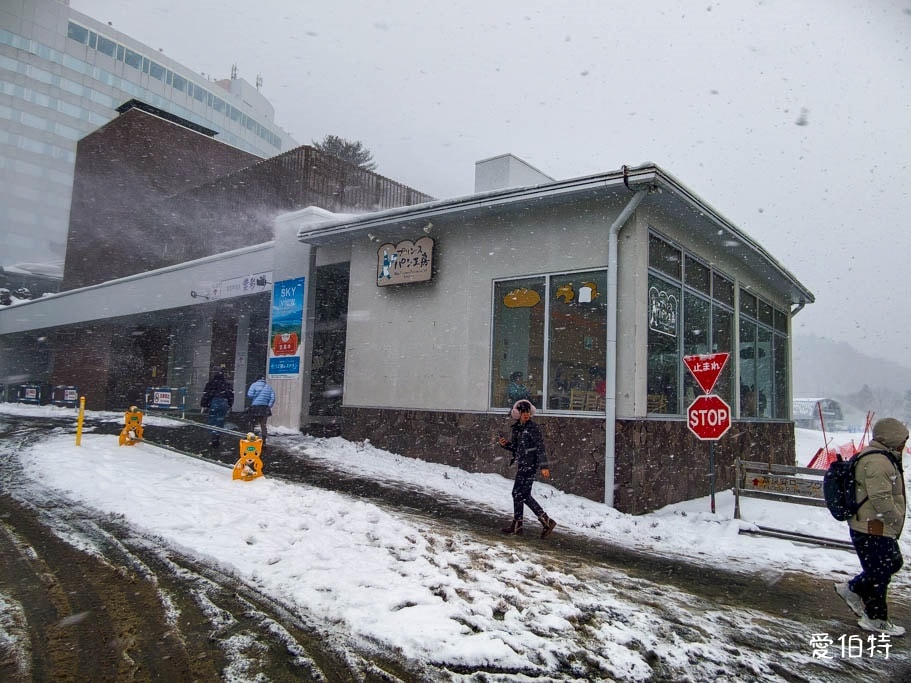 北海道富良野森林精靈露台｜宛如童話的雪地小鎮！點燈時間與一日遊攻略