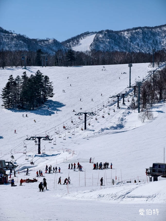 札幌手稻滑雪場攻略｜奧運級賽道、新手也可滑，交通住宿全解析