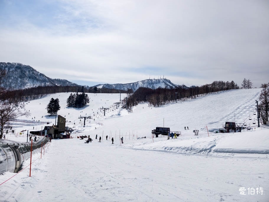 札幌手稻滑雪場攻略｜奧運級賽道、新手也可滑，交通住宿全解析