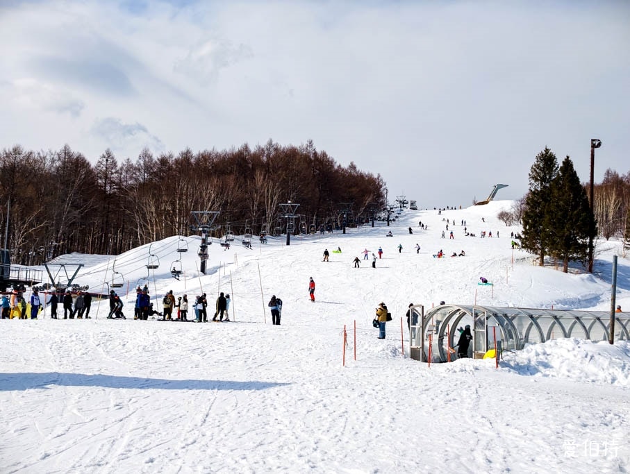札幌手稻滑雪場攻略｜奧運級賽道、新手也可滑，交通住宿全解析