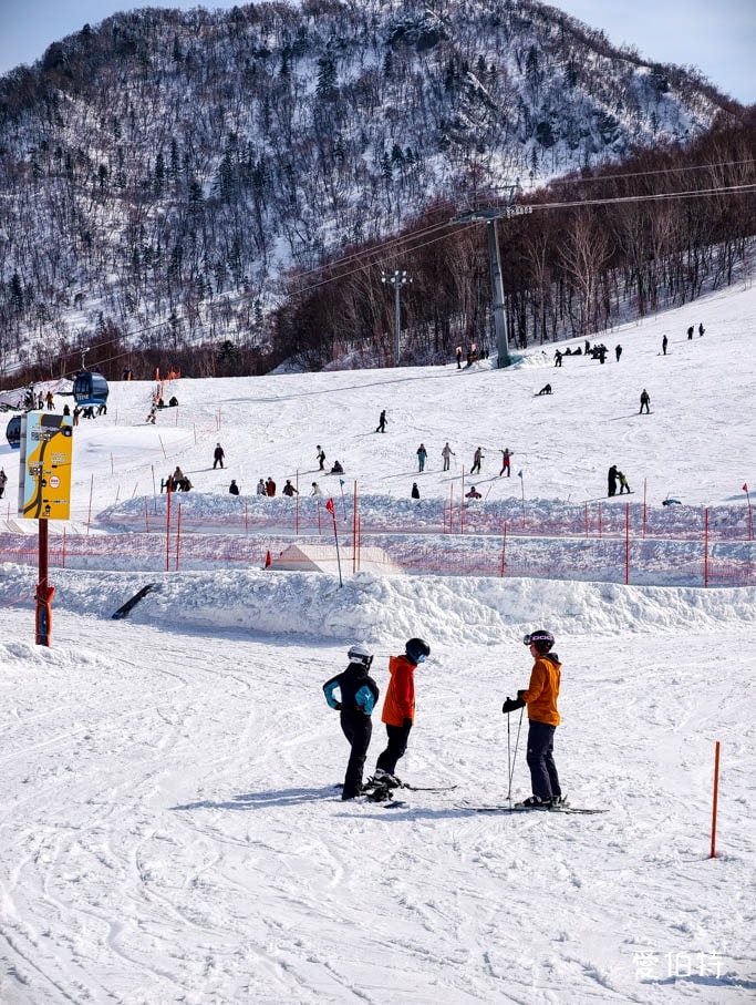 札幌手稻滑雪場攻略｜奧運級賽道、新手也可滑，交通住宿全解析