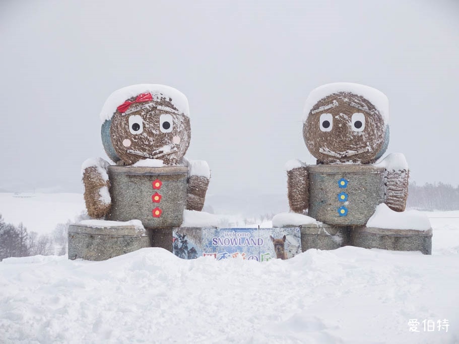 北海道美瑛四季彩之丘｜冬日雪景雪地橡皮艇體驗與熊肉鹿肉美食
