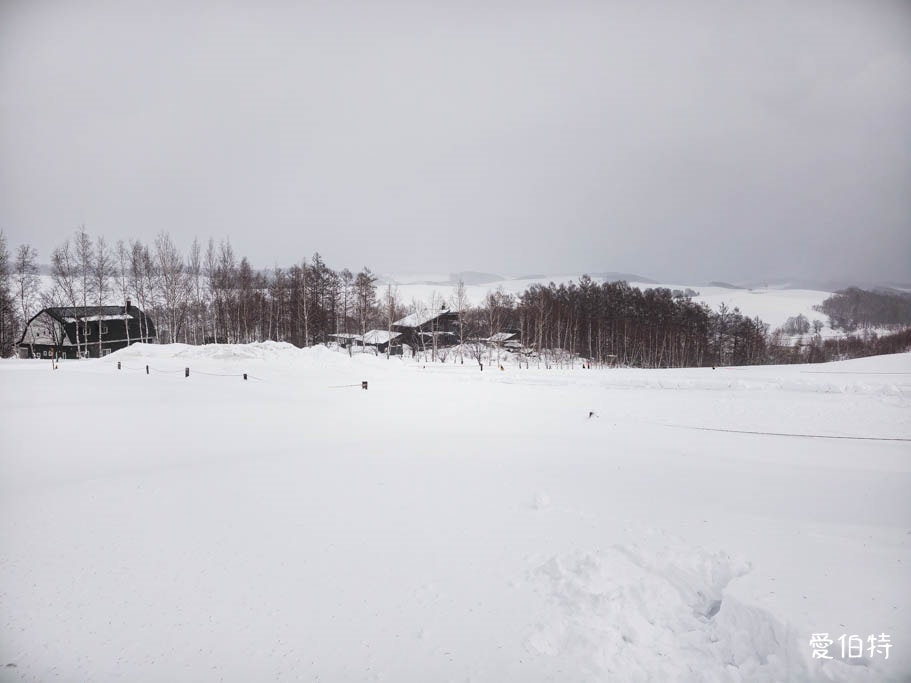 北海道美瑛四季彩之丘｜冬日雪景雪地橡皮艇體驗與熊肉鹿肉美食