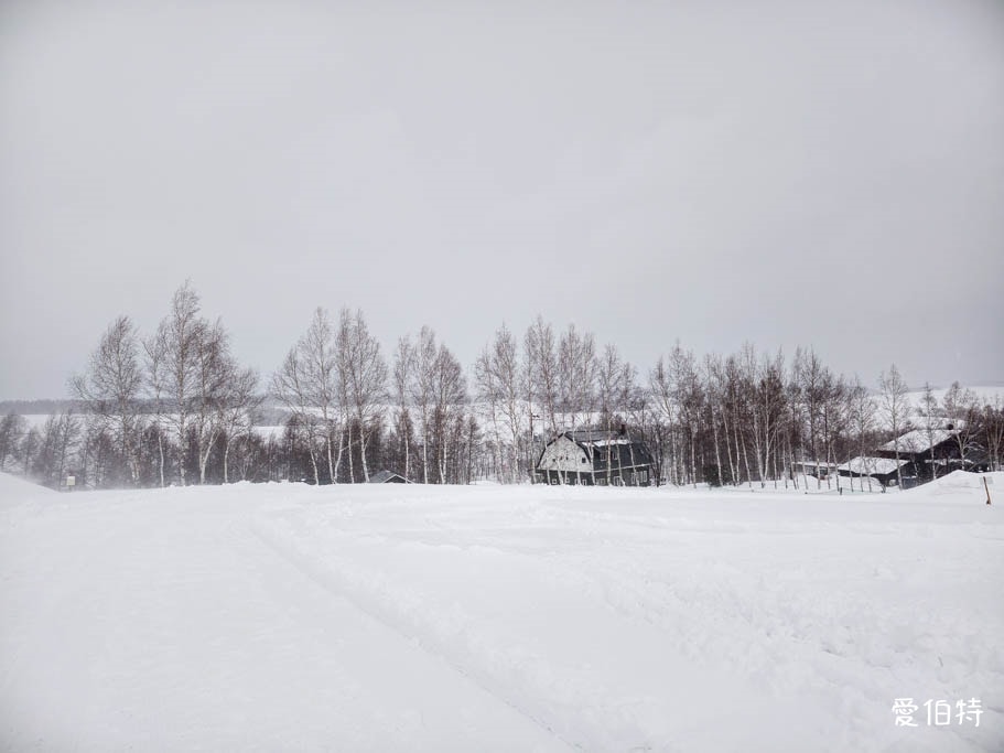 北海道美瑛四季彩之丘｜冬日雪景雪地橡皮艇體驗與熊肉鹿肉美食