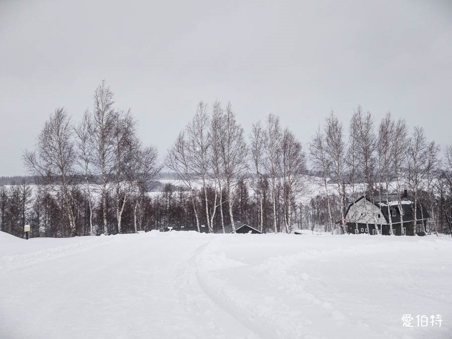 北海道美瑛四季彩之丘｜冬日雪景雪地橡皮艇體驗與熊肉鹿肉美食
