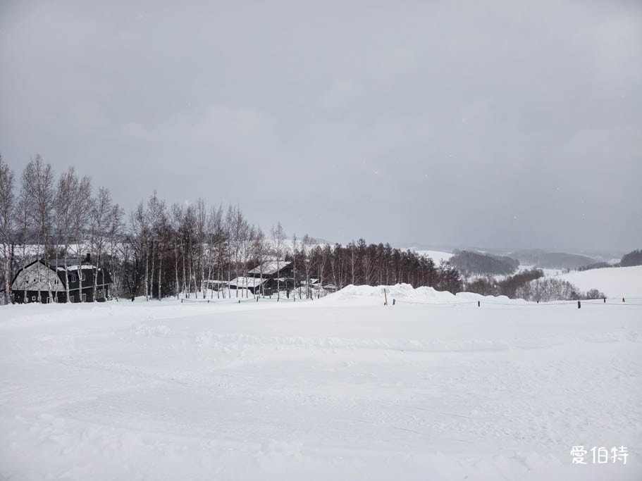 北海道美瑛四季彩之丘｜冬日雪景雪地橡皮艇體驗與熊肉鹿肉美食