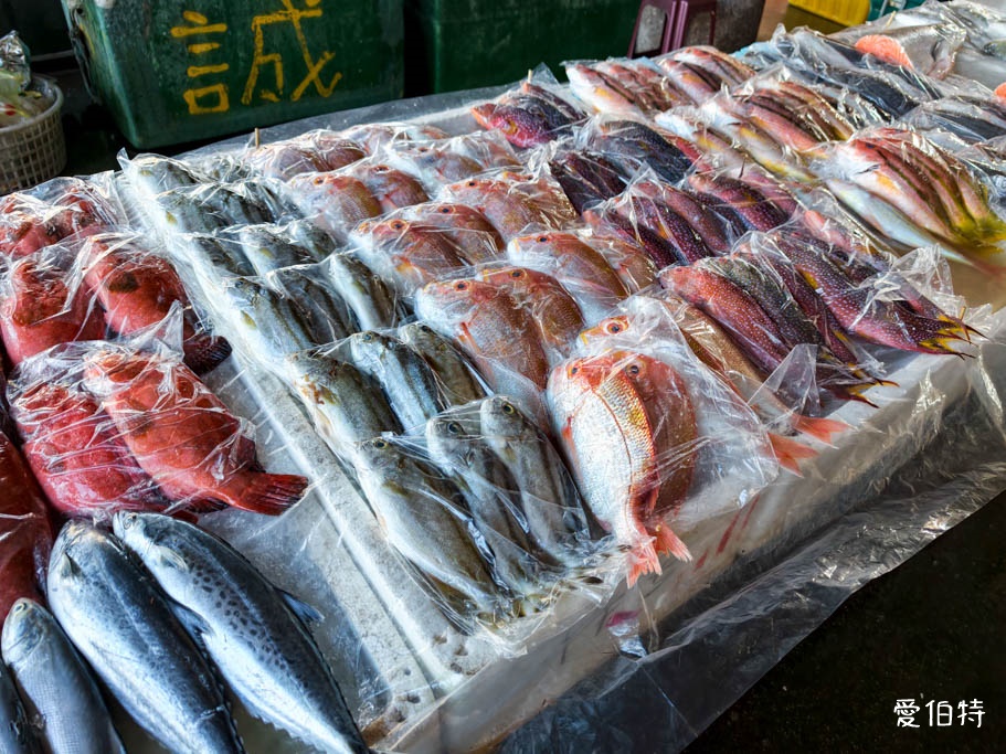 桃園親子一日遊推薦|竹圍漁港吃海鮮,順遊沙灘玩水踏浪拍夕陽! - 第14張圖 桃園親子一日遊推薦|竹圍漁港吃海鮮,順遊沙灘玩水踏浪拍夕陽!