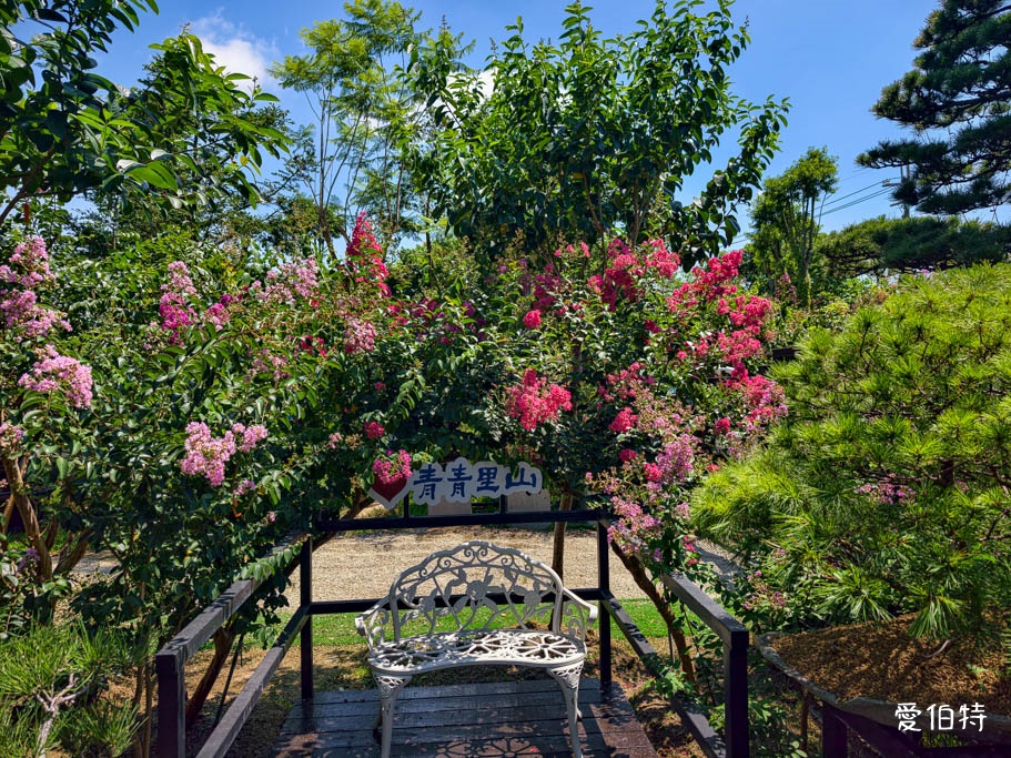 中壢免費賞花景點｜青青里山園藝