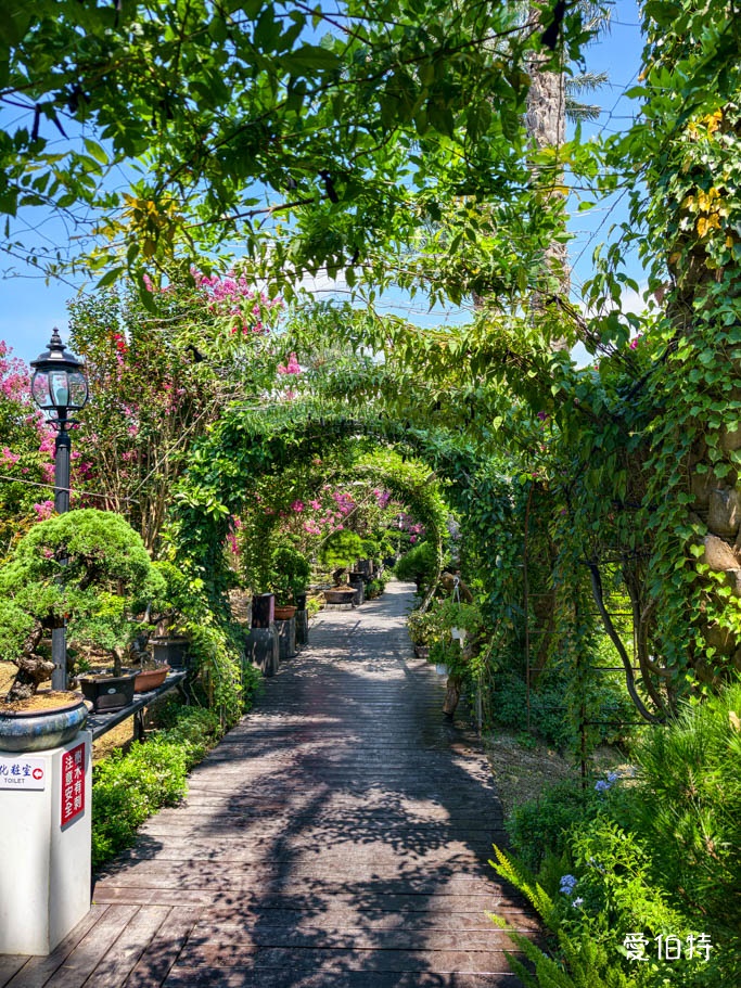 中壢免費賞花景點｜青青里山園藝