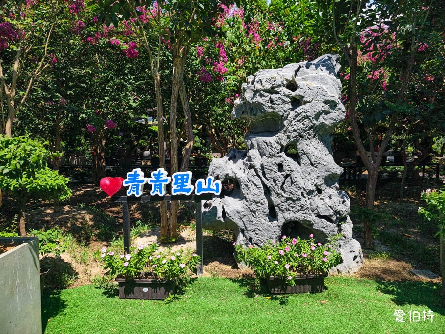 中壢免費賞花景點｜青青里山園藝