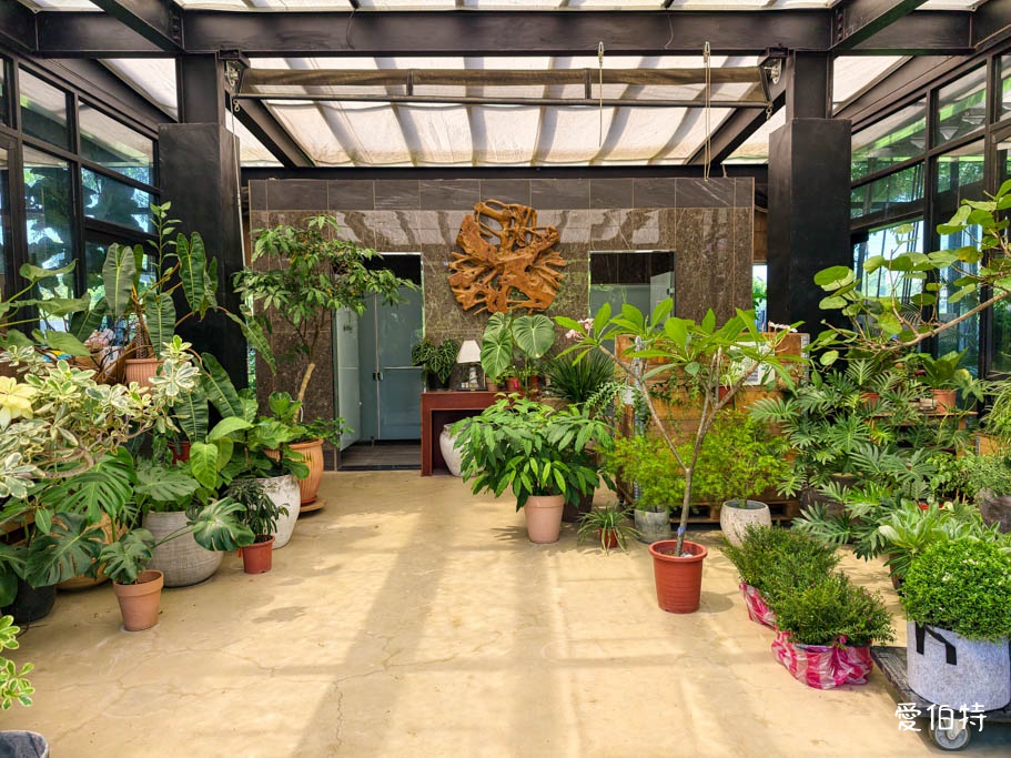 中壢免費賞花景點｜青青里山園藝