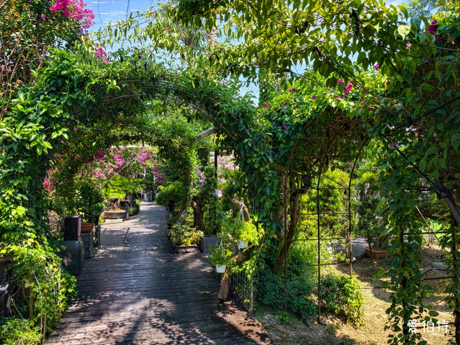 中壢免費賞花景點｜青青里山園藝
