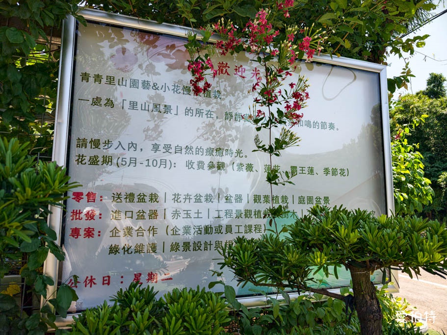 中壢免費賞花景點｜青青里山園藝