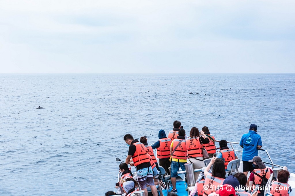 宜蘭賞鯨推薦.龜山島賞鯨繞島牛奶海(新福豐168賞鯨豚,不誇張直接看到整群五百隻海豚!) @愛伯特