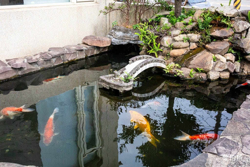 龍潭聚餐餐廳推薦｜小橋流水餐廳石門活魚