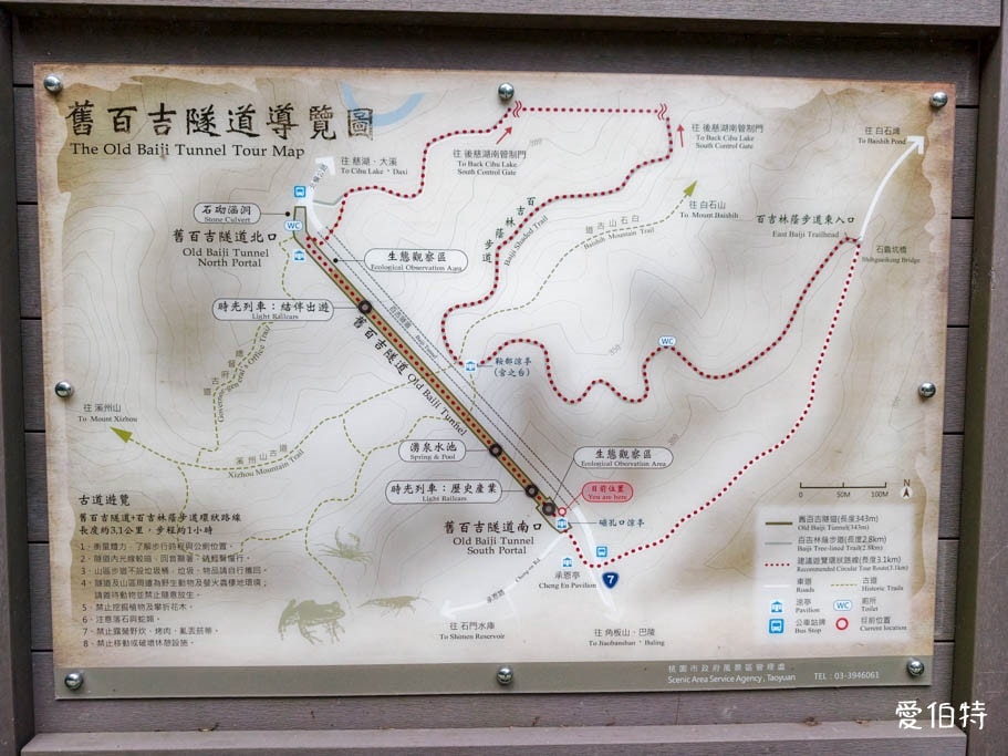 桃園大溪景點推薦｜舊百吉隧道，神隱少女風、全齡森林步道半日遊