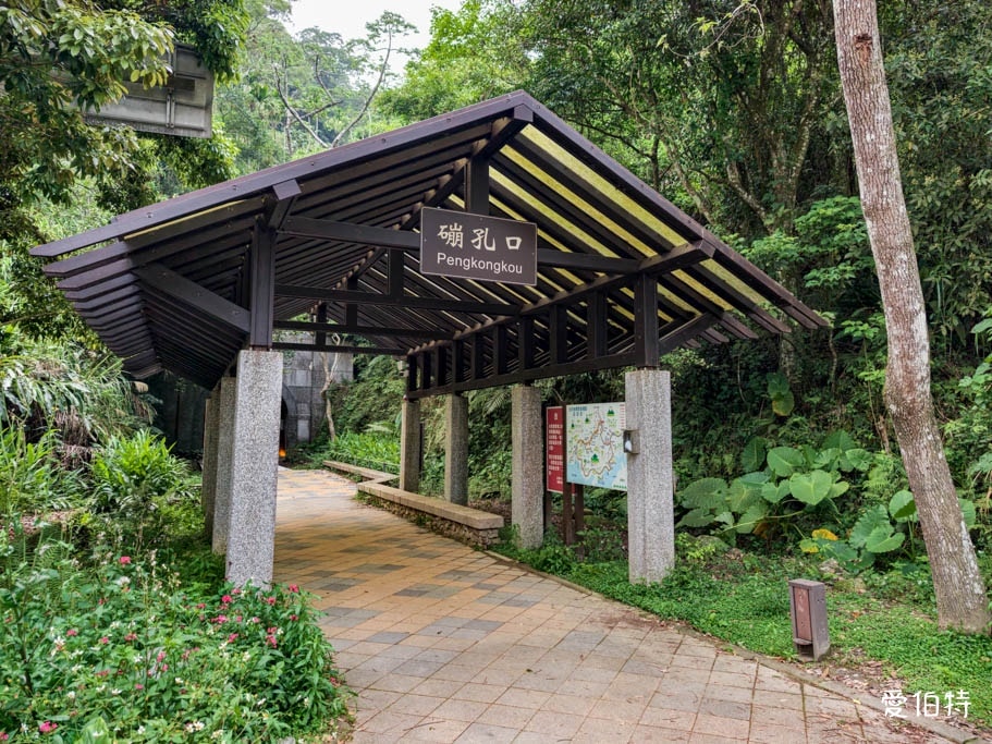 桃園大溪景點推薦｜舊百吉隧道，神隱少女風、全齡森林步道半日遊