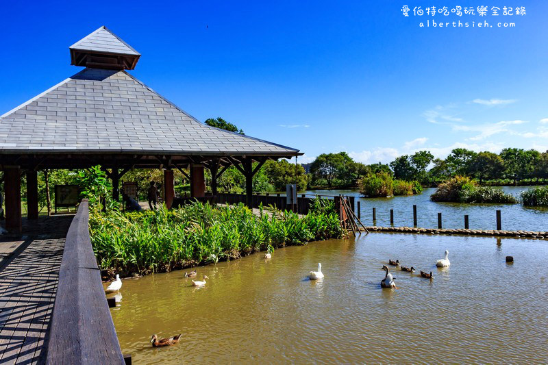 桃園八德埤塘自然生態公園（免費親子景點，景色優美忙裡偷閒無料野餐好去處） @愛伯特