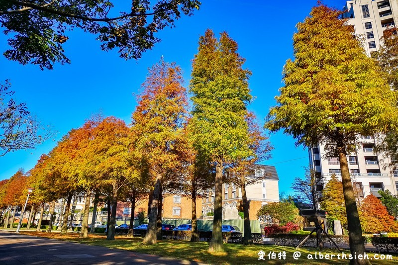 桃園落羽松推薦．玉山公園落羽松（桃園市區公園內的秋金黃冬褐紅林蔭大道） @愛伯特