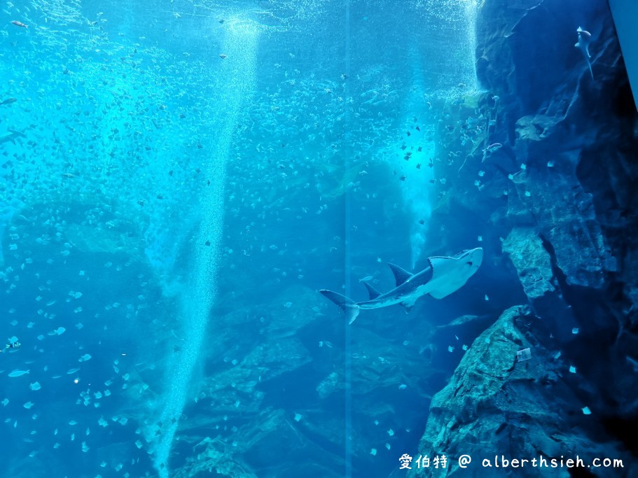 桃園水族館Xpark青埔水生公園（票價預購，飯店住宿，如何前往，周邊停車，週邊景點） @愛伯特