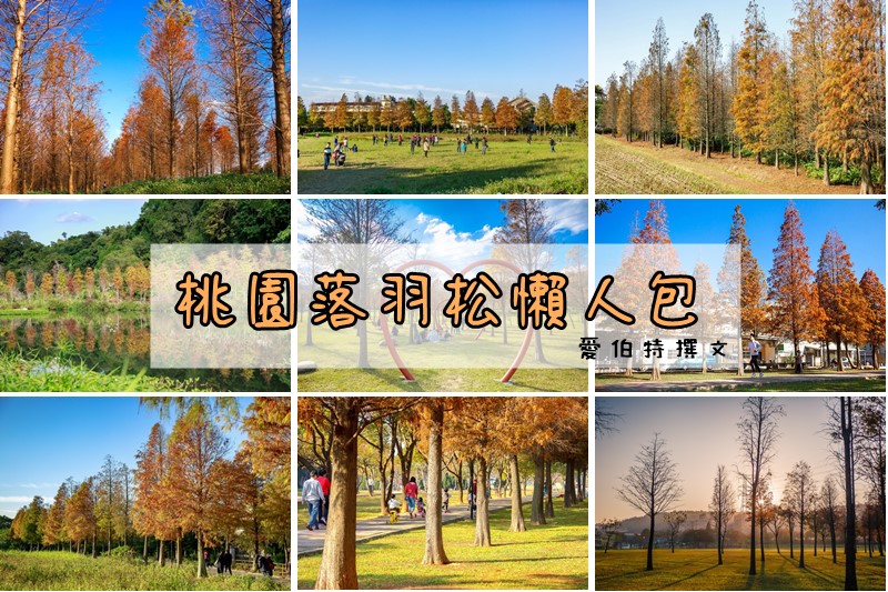 桃園落羽松哪裡有？八大景點懶人包（大溪落羽松大道/河濱公園/月眉濕地公園/八德落羽松森林/霄裡大池/玉山公園/楊梅/長庚護理之家） @愛伯特